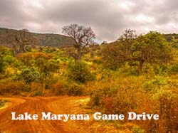 200-Lake Maryana Game Drive 11U5B4207