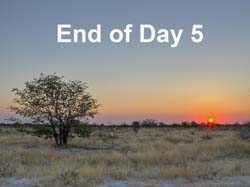 194-End of Day 5 -7J8E1234