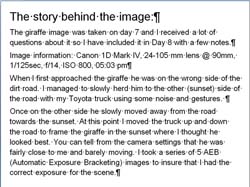314-Behind the Image