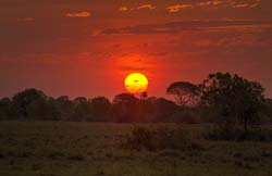 0024 Southern Pantanal Sunset