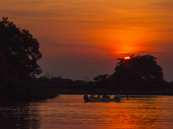 305 Sunset in the Pantanal 70D3976
