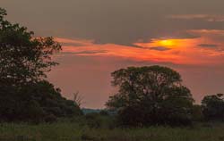 327 Sunset in the Pantanal 11J8E5061