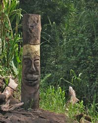 176 Rainforest Carving 80D0893