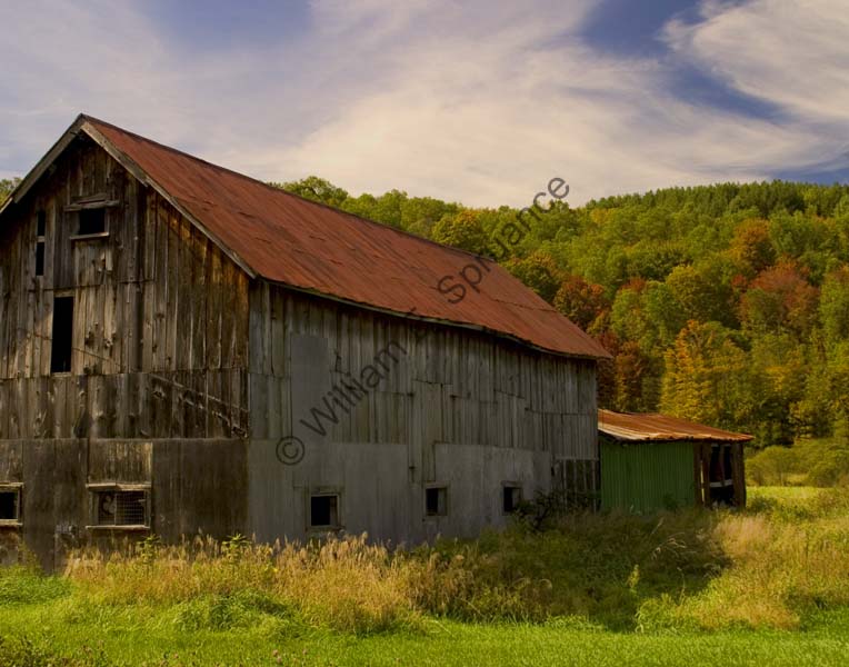 Autum-in-Vermont-5333